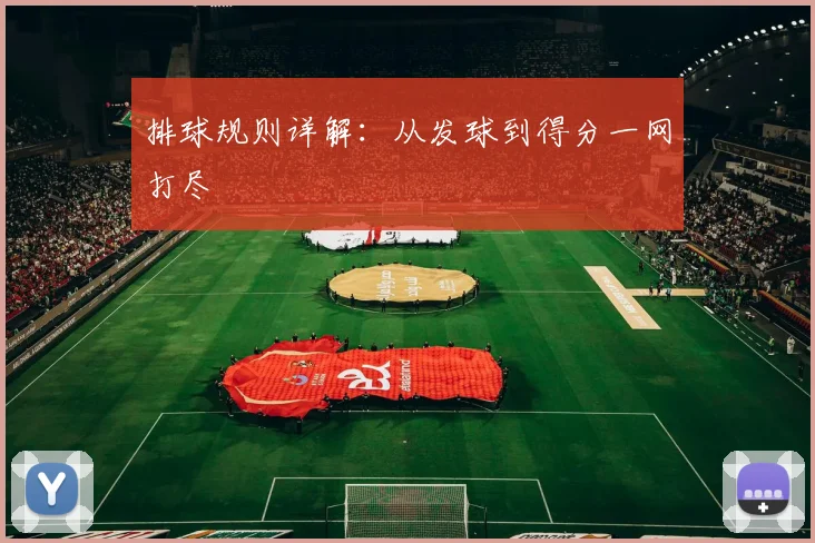 排球规则详解：从发球到得分一网打尽