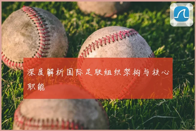 深度解析国际足联组织架构与核心职能