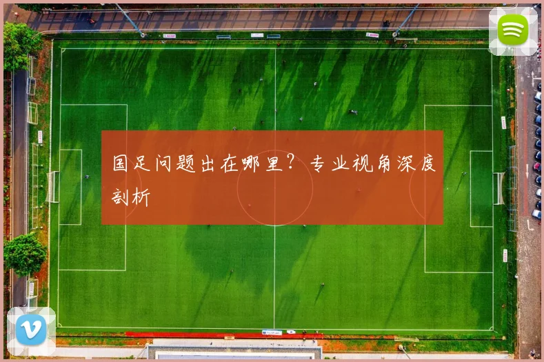 国足问题出在哪里？专业视角深度剖析