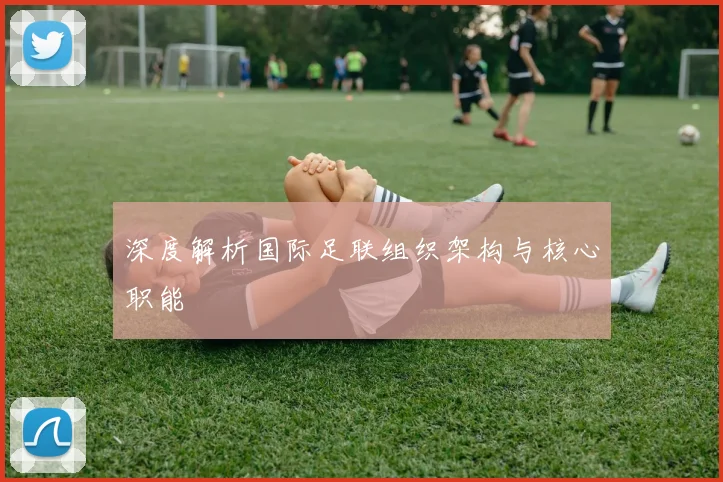 深度解析国际足联组织架构与核心职能